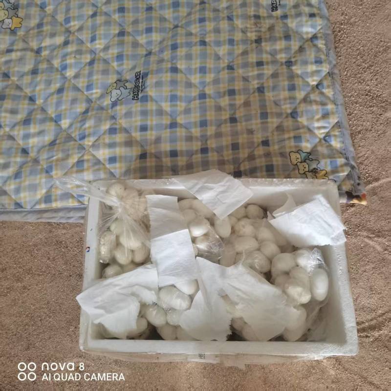 水律蛇蛋无毒，一手货源，量大从优，欢迎来电