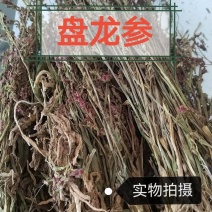 盘龙参中药材货真价实一手货源冷背中药材合作共赢