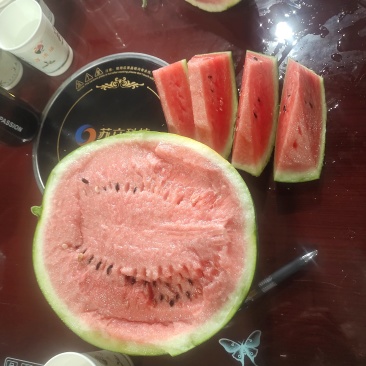 陕西甜王西瓜