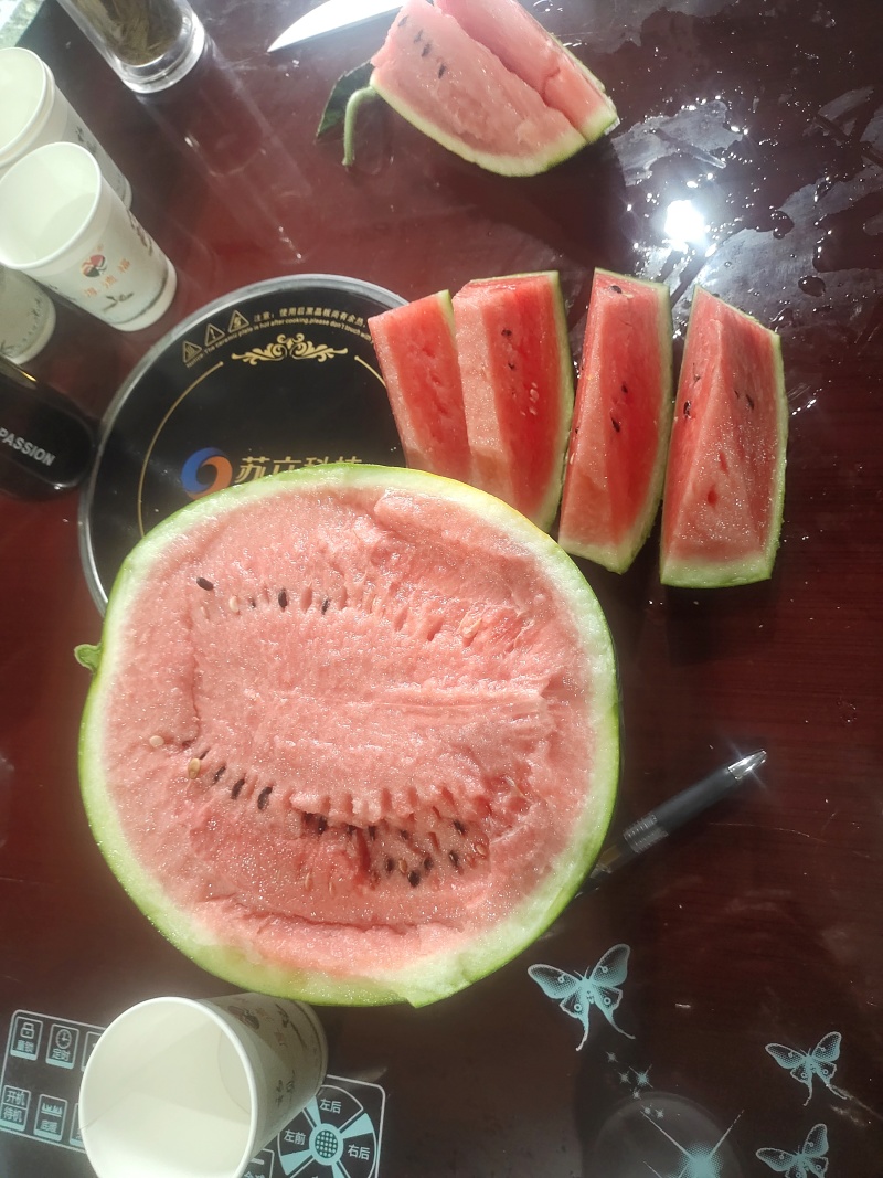 陕西甜王西瓜