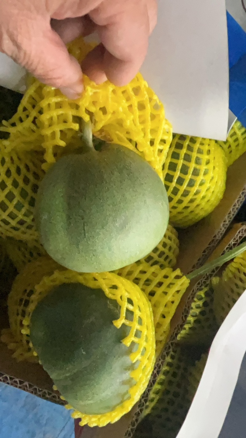 大量供应绿宝石