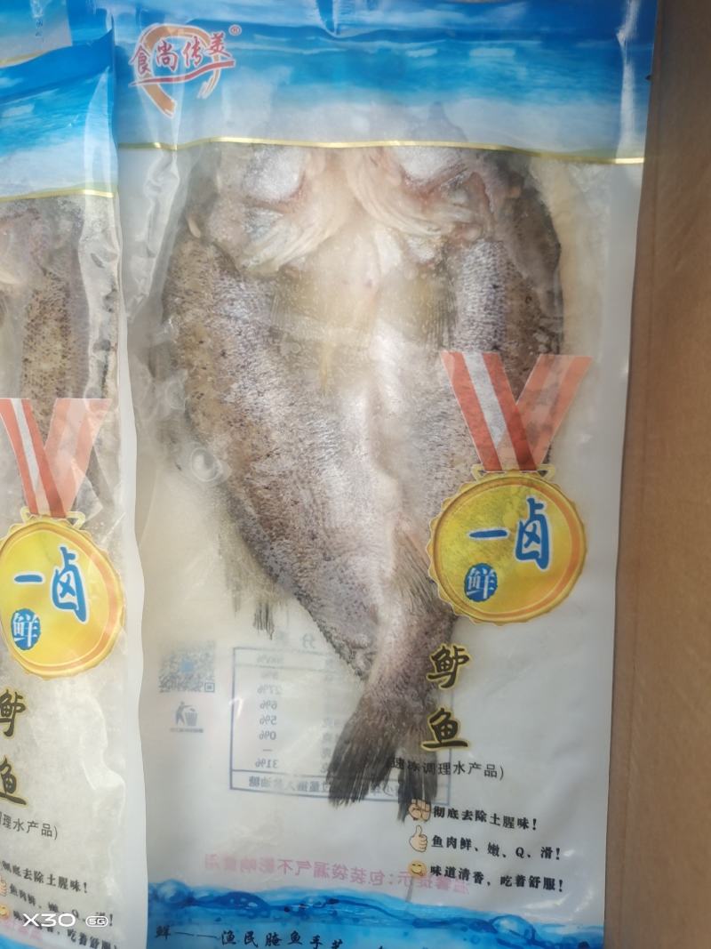 海鲈鱼一卤鲜大量有货电商团购！！！！！！！！！！！！！！
