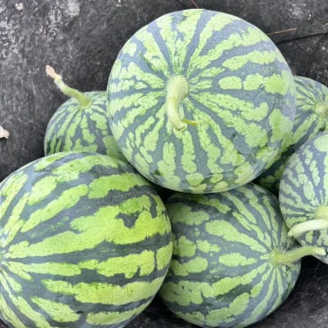 精品无籽美都，皮薄肉厚，大红瓤，又脆又甜甜度13以上