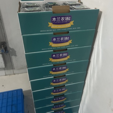 合肥肥西木兰农场蓝莓
