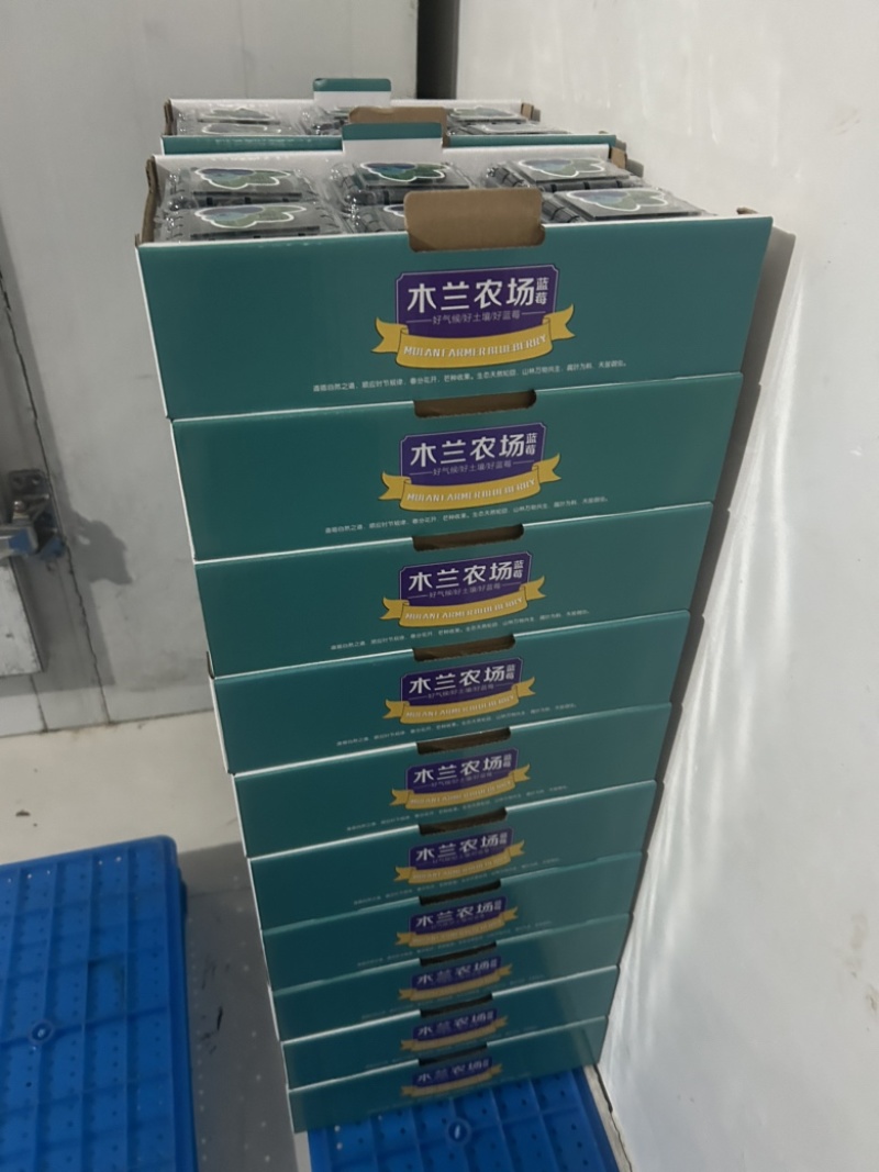 合肥肥西木兰农场蓝莓