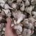 四川软叶蒜种，大中小规格齐全，品质好可视频看货！