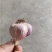 大蒜种子新繁的软叶蒜种，四六瓣产地直供量大从优