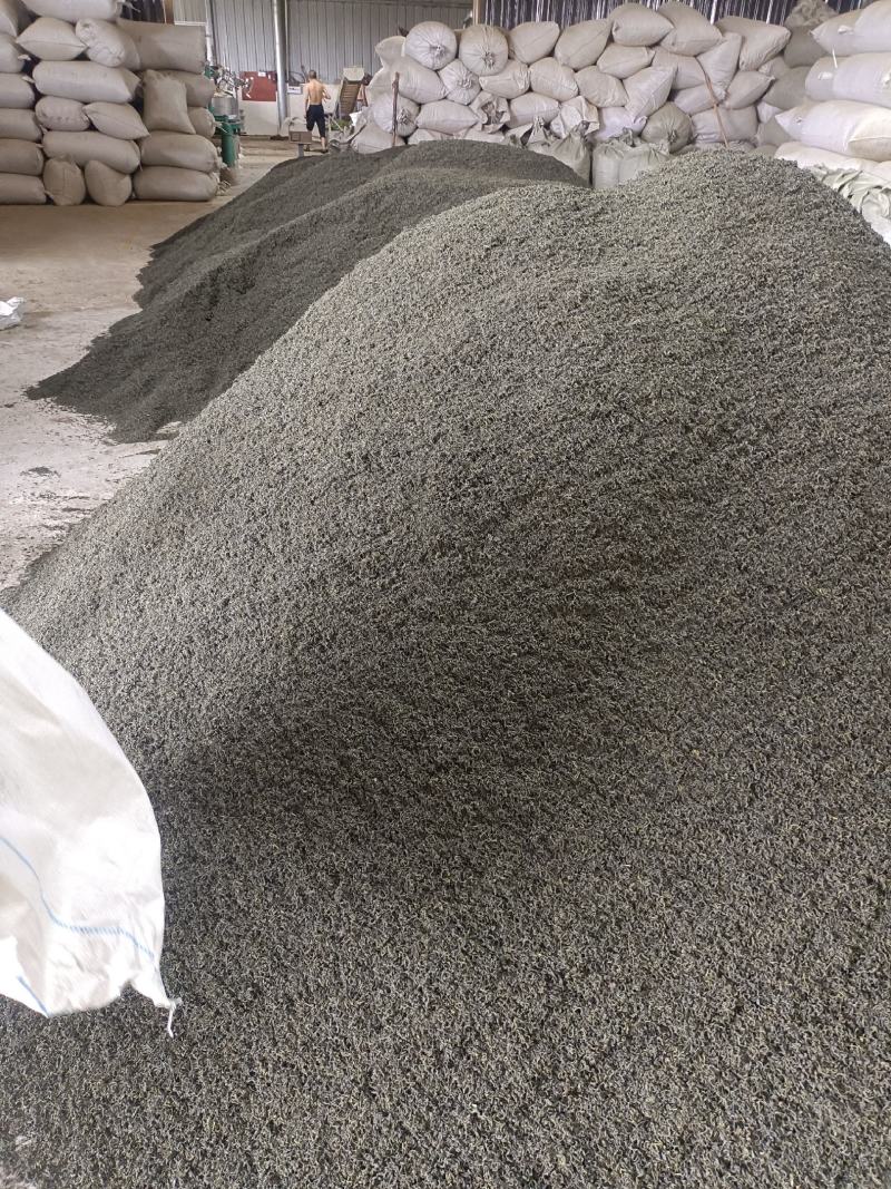 批发绿茶