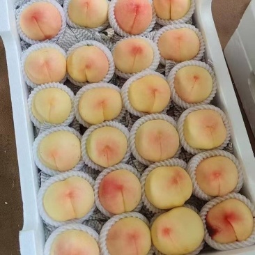 凤桥水蜜桃，硬吃脆甜熟了剥皮味鲜多汁，期待各