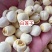 湖南白莲地摊电商批发实芯白莲去芯磨皮白莲去心莲子干货批发
