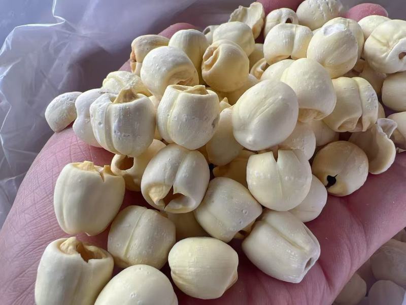 湖南白莲地摊电商批发实芯白莲去芯磨皮白莲去心莲子干货批发