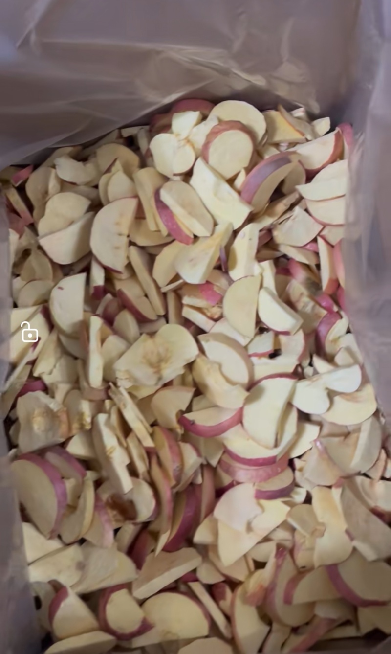 冻干苹果片苹果干品质保证量大从优欢迎联系
