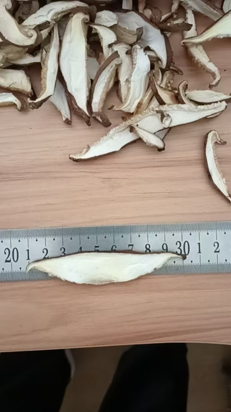 香菇菇丝挖心无膜菇丝，厂家直发，保质保量，可视频看货