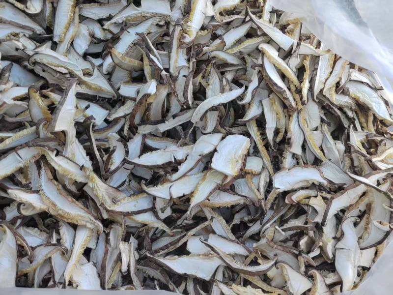 香菇菇丝挖心无膜菇丝，厂家直发，保质保量，可视频看货