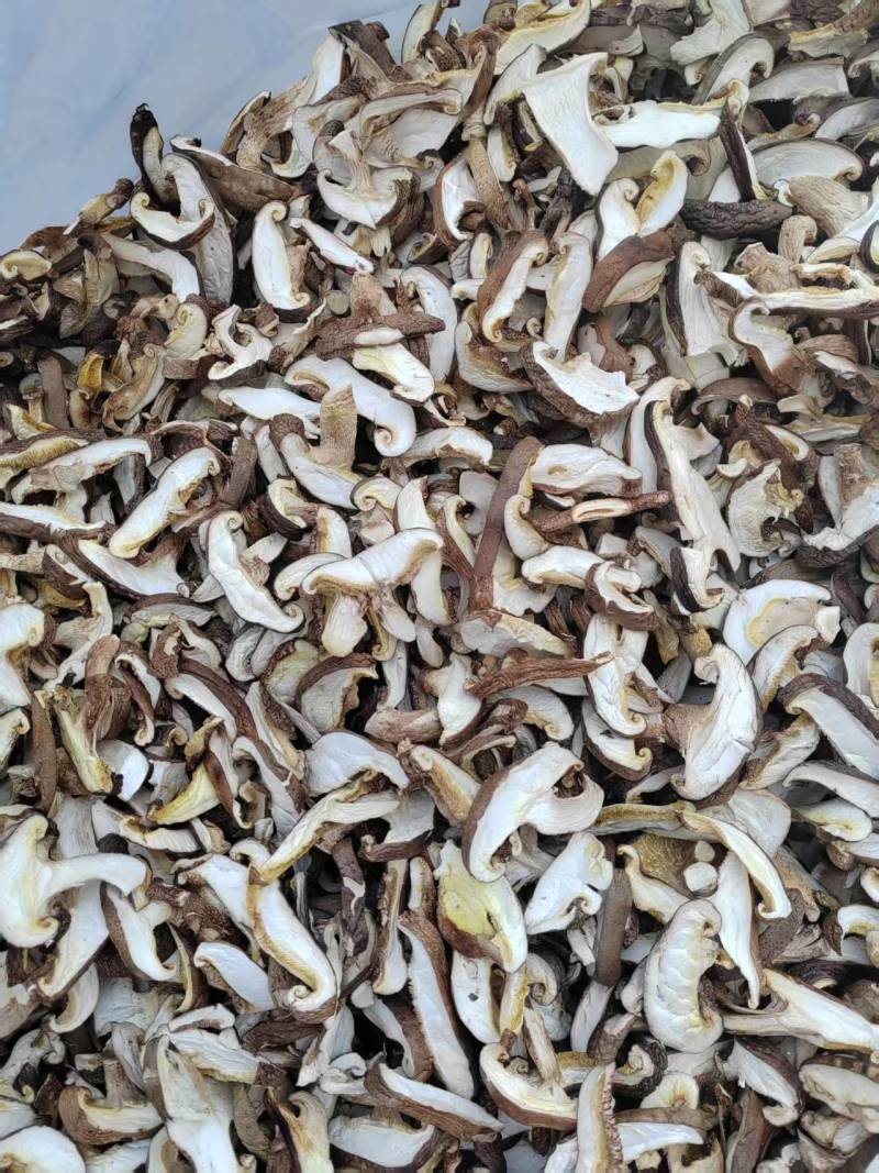 香菇菇条平角无膜菇条，厂家源头发货，保质保量，欢迎来电
