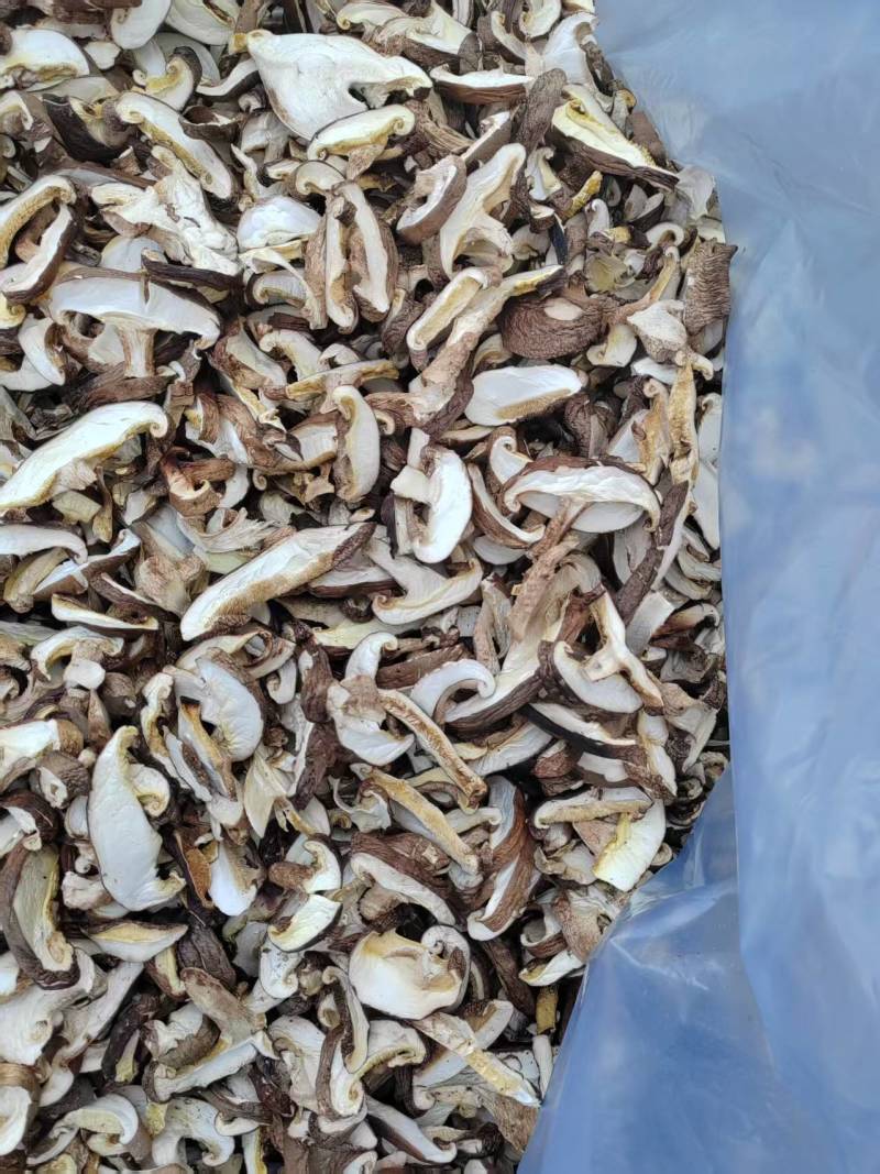 香菇菇条平角无膜菇条，厂家源头发货，保质保量，欢迎来电