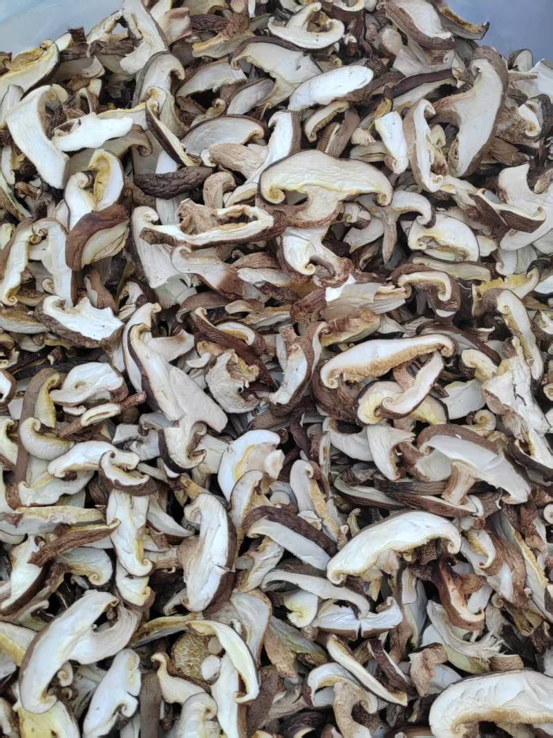 香菇菇条平角无膜菇条，厂家源头发货，保质保量，欢迎来电