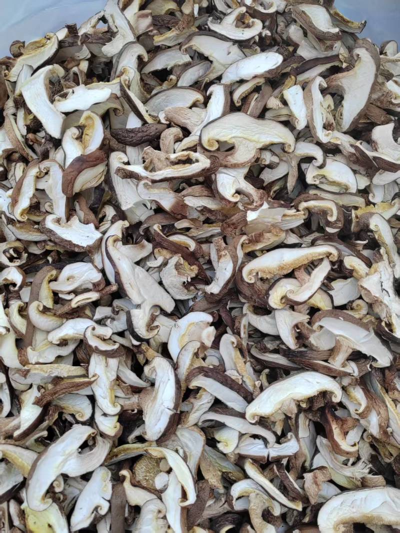 香菇菇条平角无膜菇条，厂家源头发货，保质保量，欢迎来电