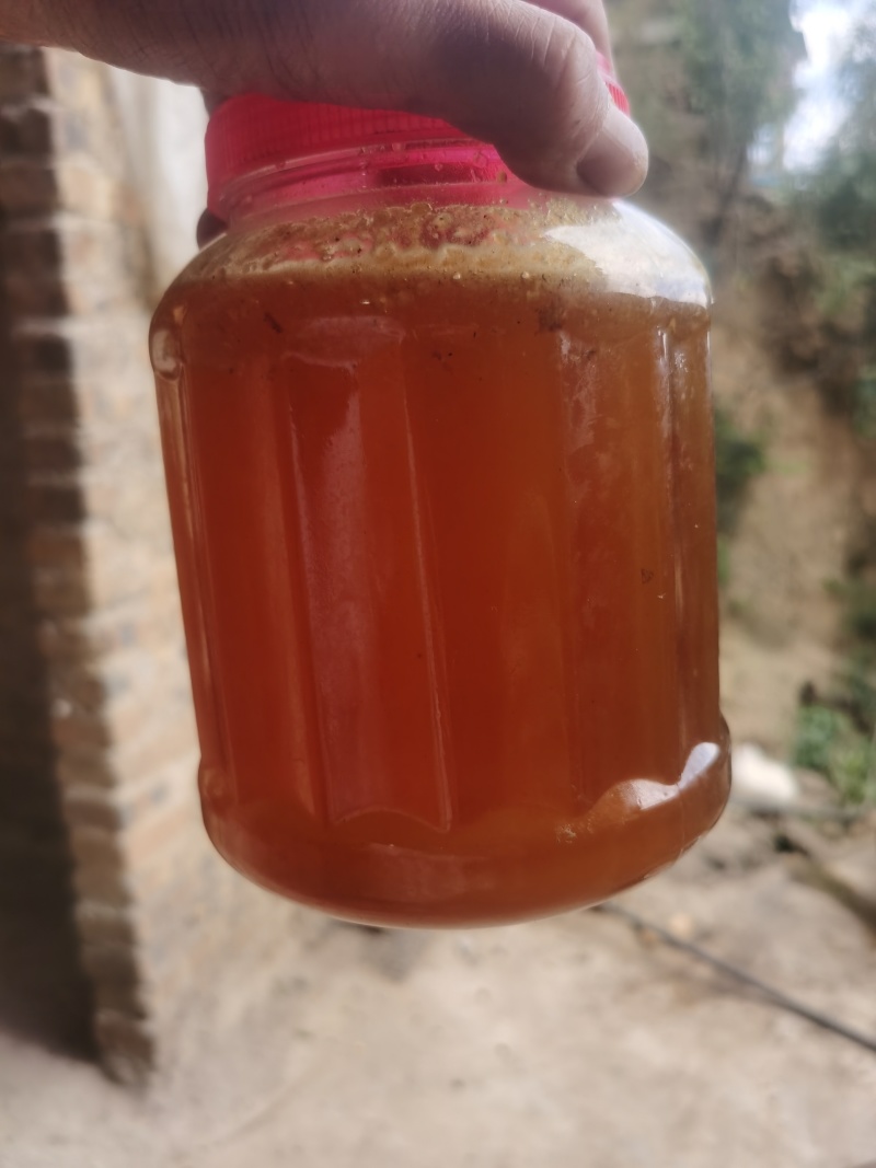 正宗的天然野生蜂蜜