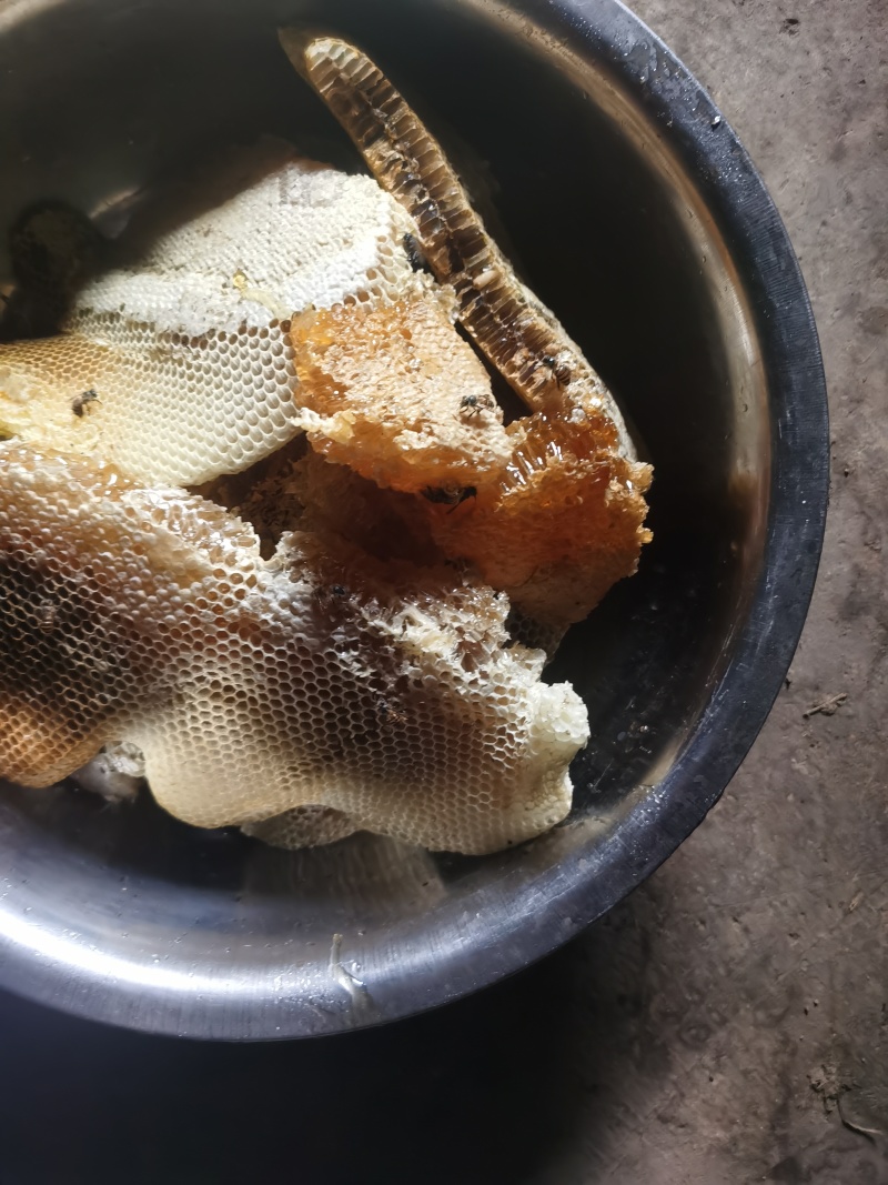 正宗的天然野生蜂蜜