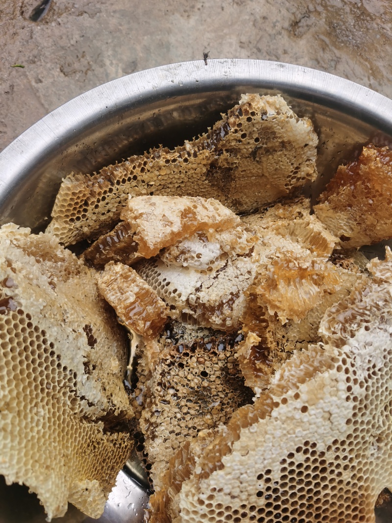 正宗的天然野生蜂蜜