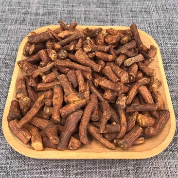中药材蒲公英根500g炒蒲公英根干货炒熟蒲公英根茶