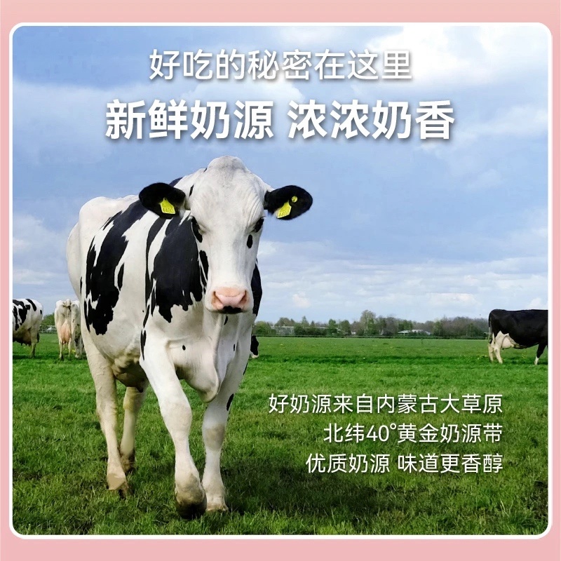 芝士软酪山楂口味厂家直发老人小孩都能吃包邮到家