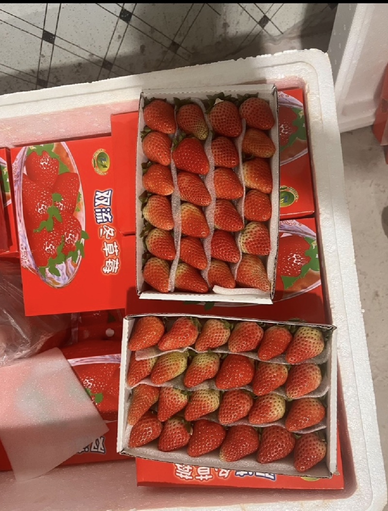 草莓原产地出售