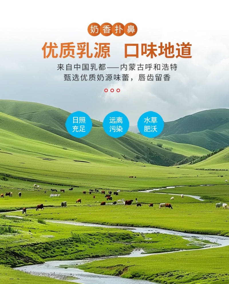 益生元奶片优质乳源无蔗糖大克重工厂直发包邮到家