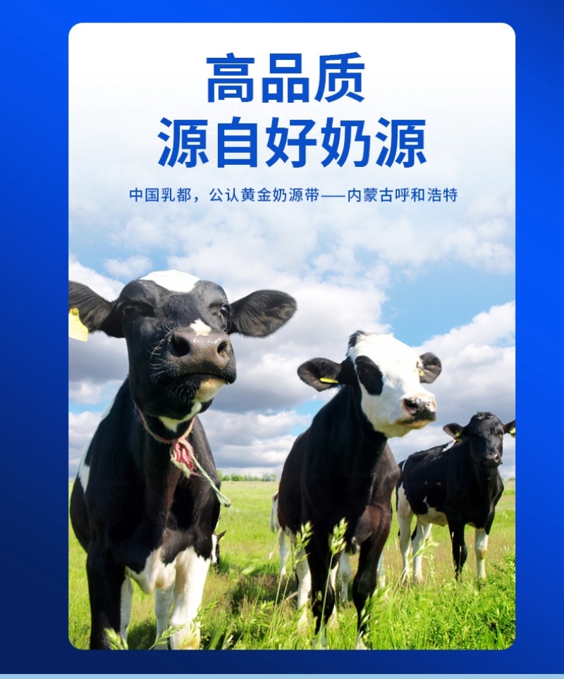 内蒙熬锅奶皮子奶茶家乡的味道香气扑鼻工厂直发包邮
