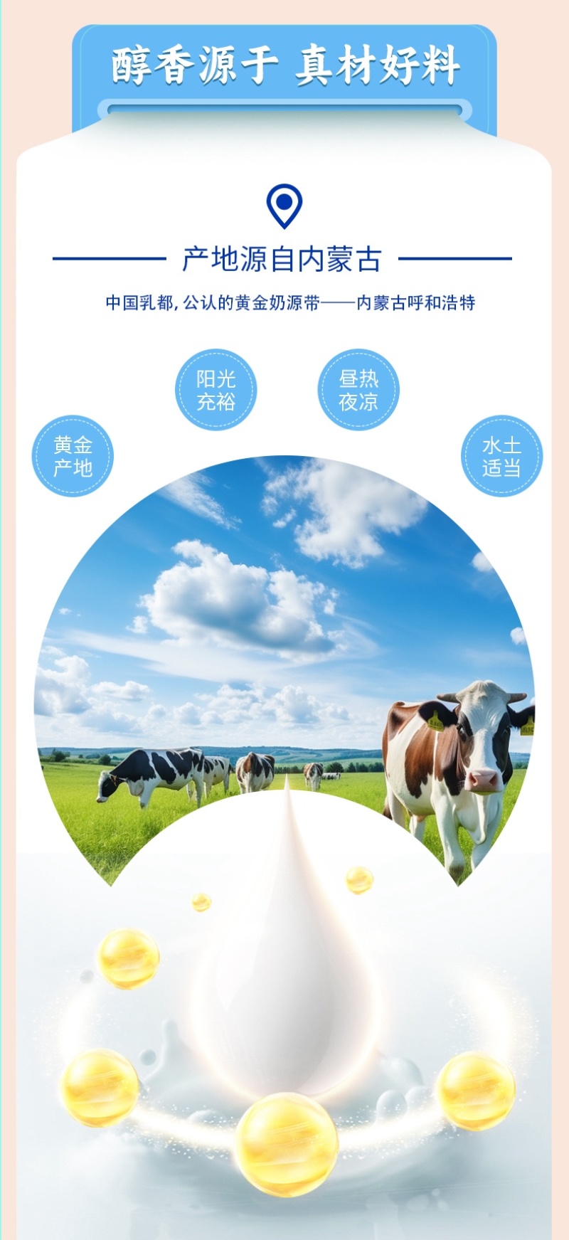 内蒙古酥油奶茶经典咸味工厂直发内蒙特产包邮到家