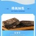 内蒙古奶茶咸味/甜味两种口味可选工厂源头直发包邮