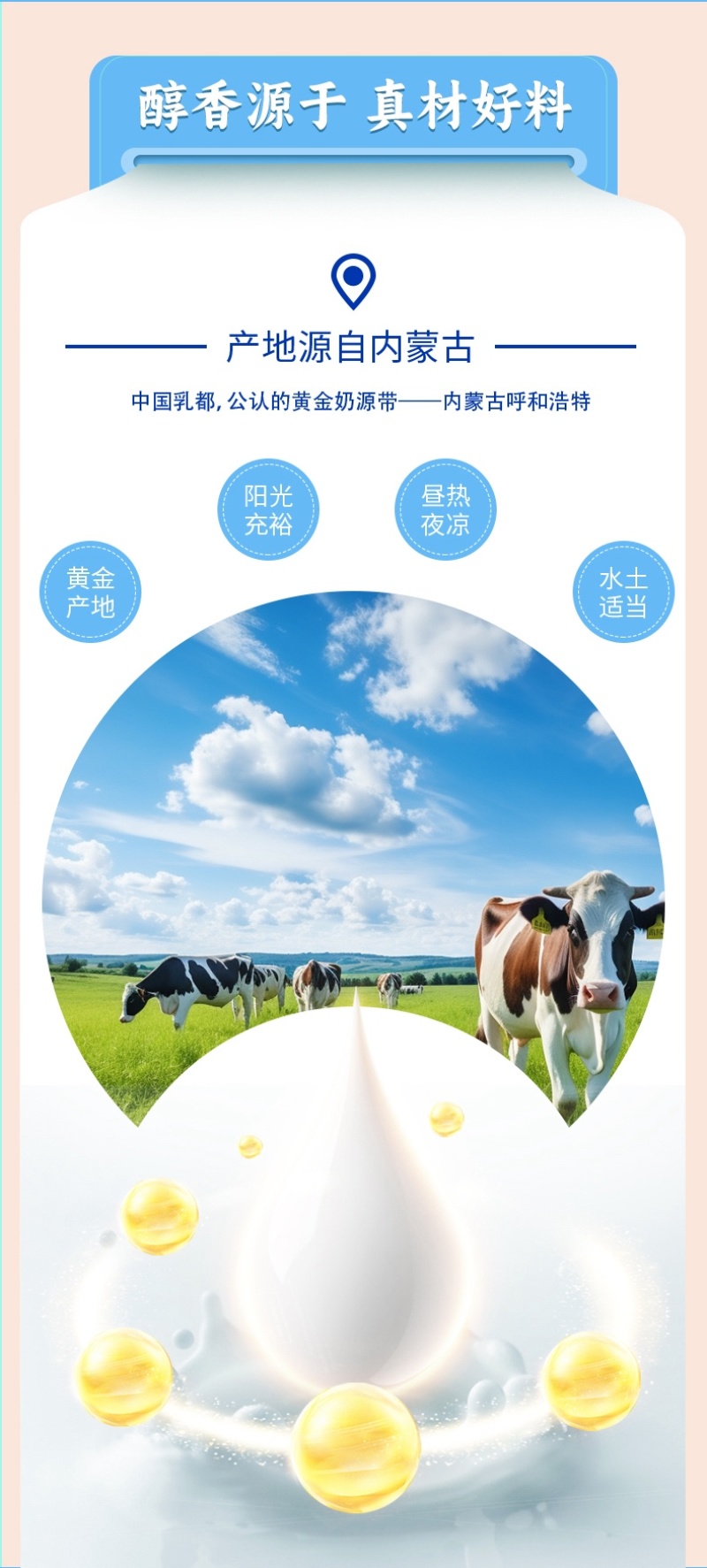 内蒙古奶茶咸味/甜味两种口味可选工厂源头直发包邮