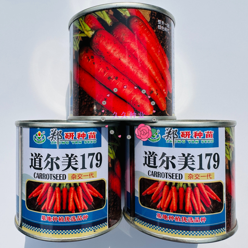 郑研道尔美179胡萝卜种子中早熟产高杂交皮肉芯三红胡萝卜