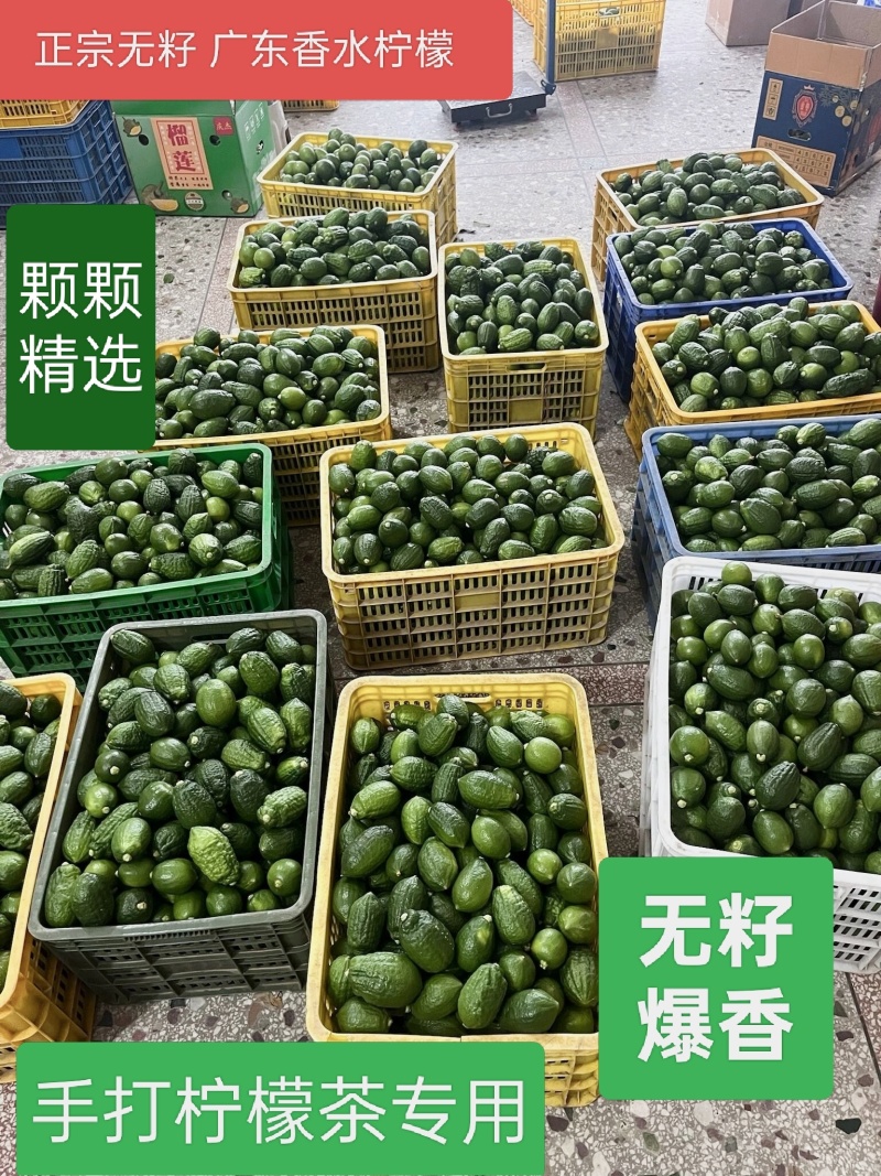广东香水柠檬