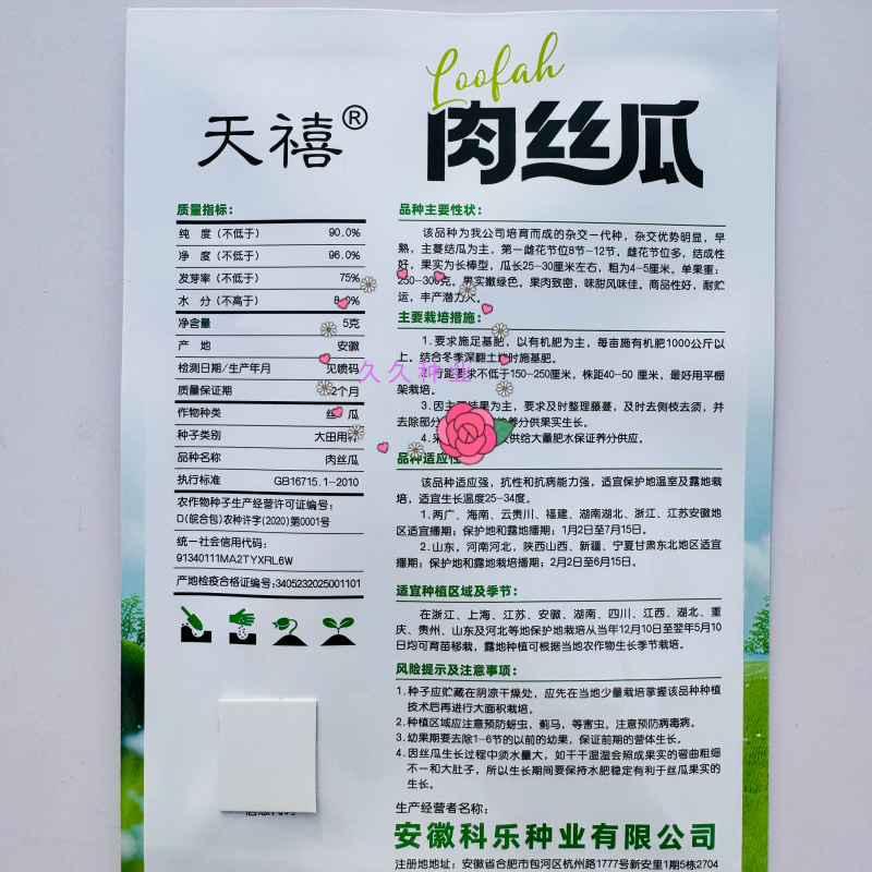 天禧肉丝瓜种子早熟高产皮绿肉嫩脆甜香丝瓜南方北方可种