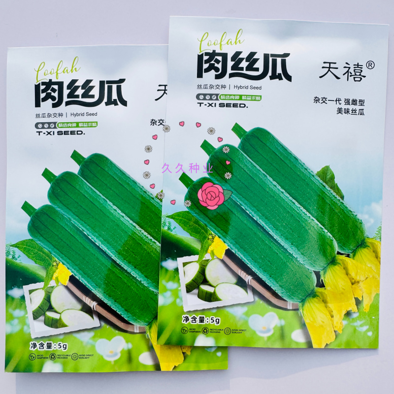 天禧肉丝瓜种子早熟高产皮绿肉嫩脆甜香丝瓜南方北方可种