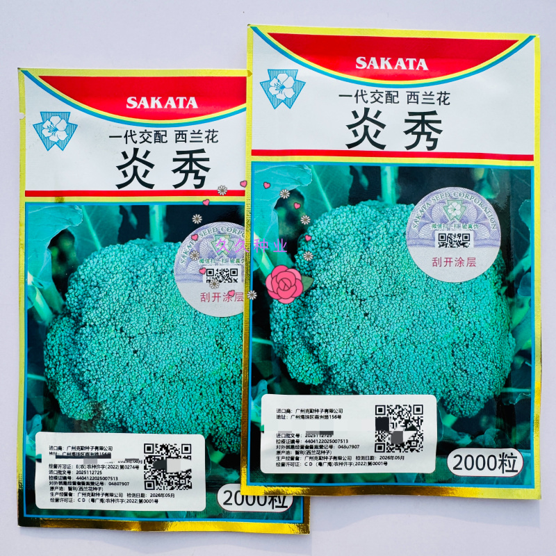 炎秀西兰花种子一代杂交中熟西兰花种子中熟西蓝花青花菜种子