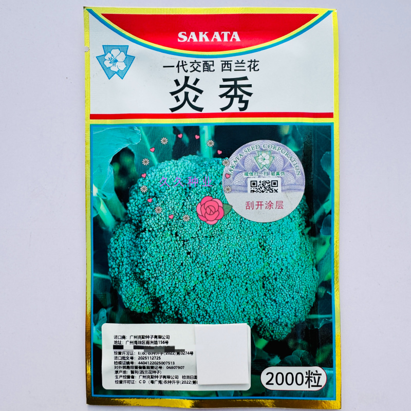 炎秀西兰花种子一代杂交中熟西兰花种子中熟西蓝花青花菜种子