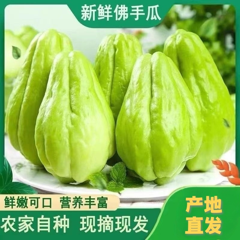 云南佛手瓜新鲜洋瓜当季丰收瓜现摘窝瓜农家丝瓜自种蔬菜批发