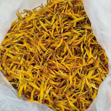 台湾黄花菜
