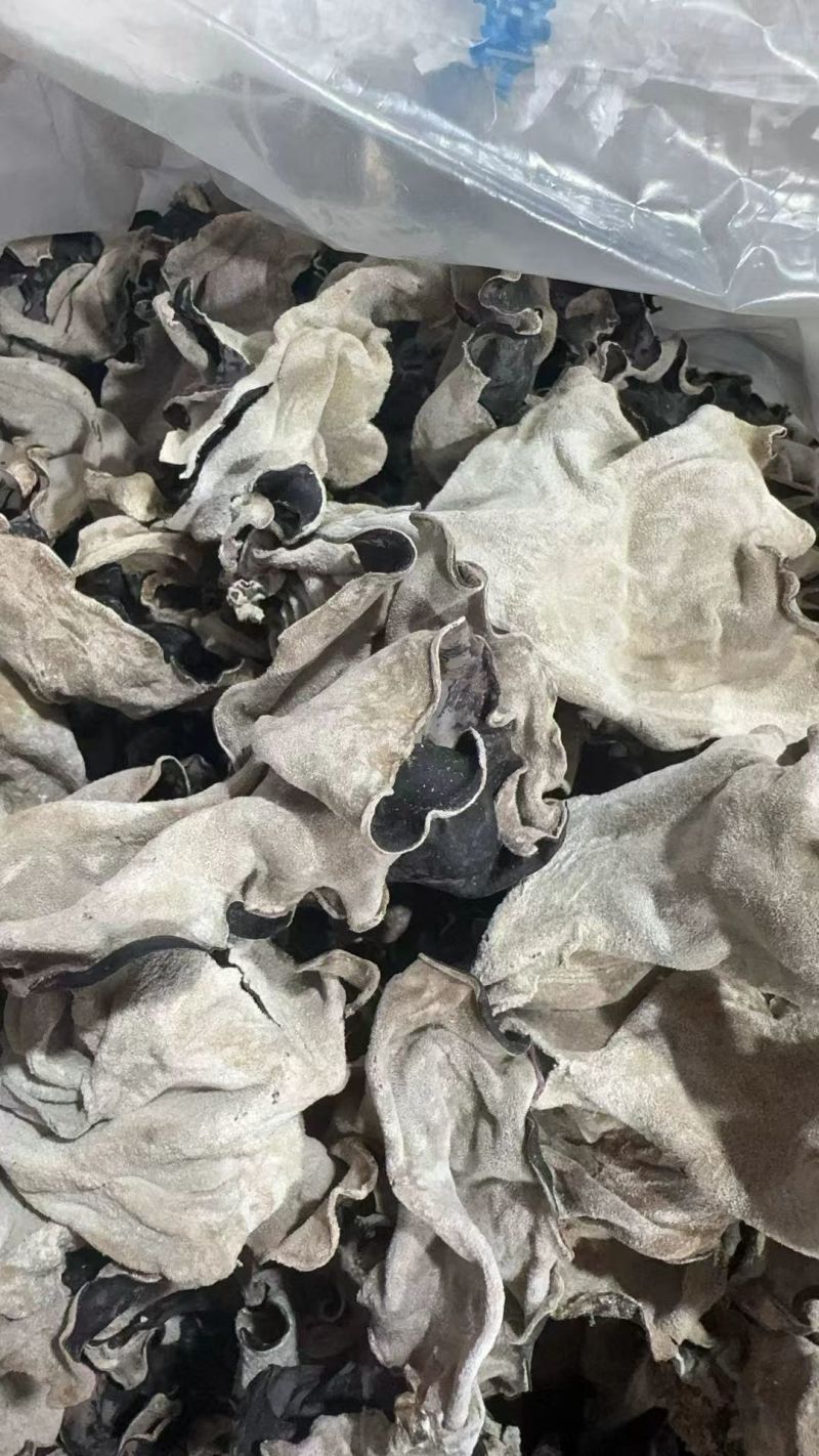头茬毛木耳产地直销，一手货源，批发零售。