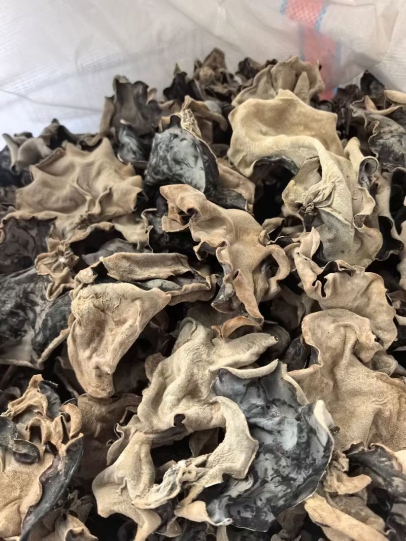 头茬毛木耳产地直销，一手货源，批发零售。