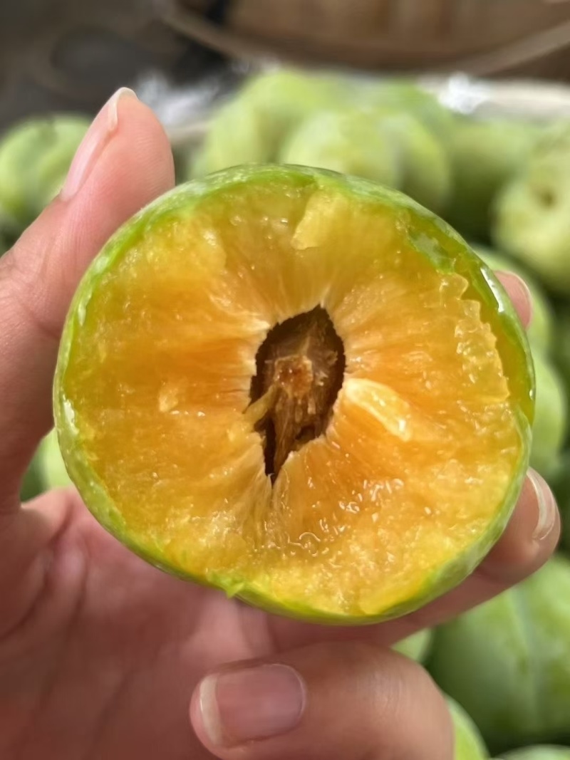巫山脆李（青皮黄心中熟脆李）
