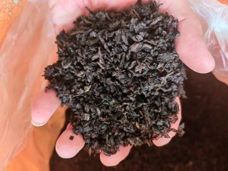 正宗绍兴梅干菜，产地直销，质量有保证