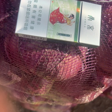 二红洋葱