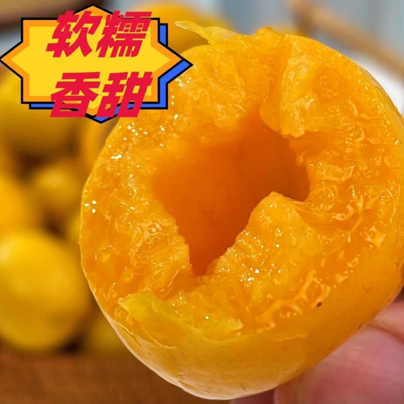 沂蒙山油杏大量上市全国发货对接各大电商市场商超