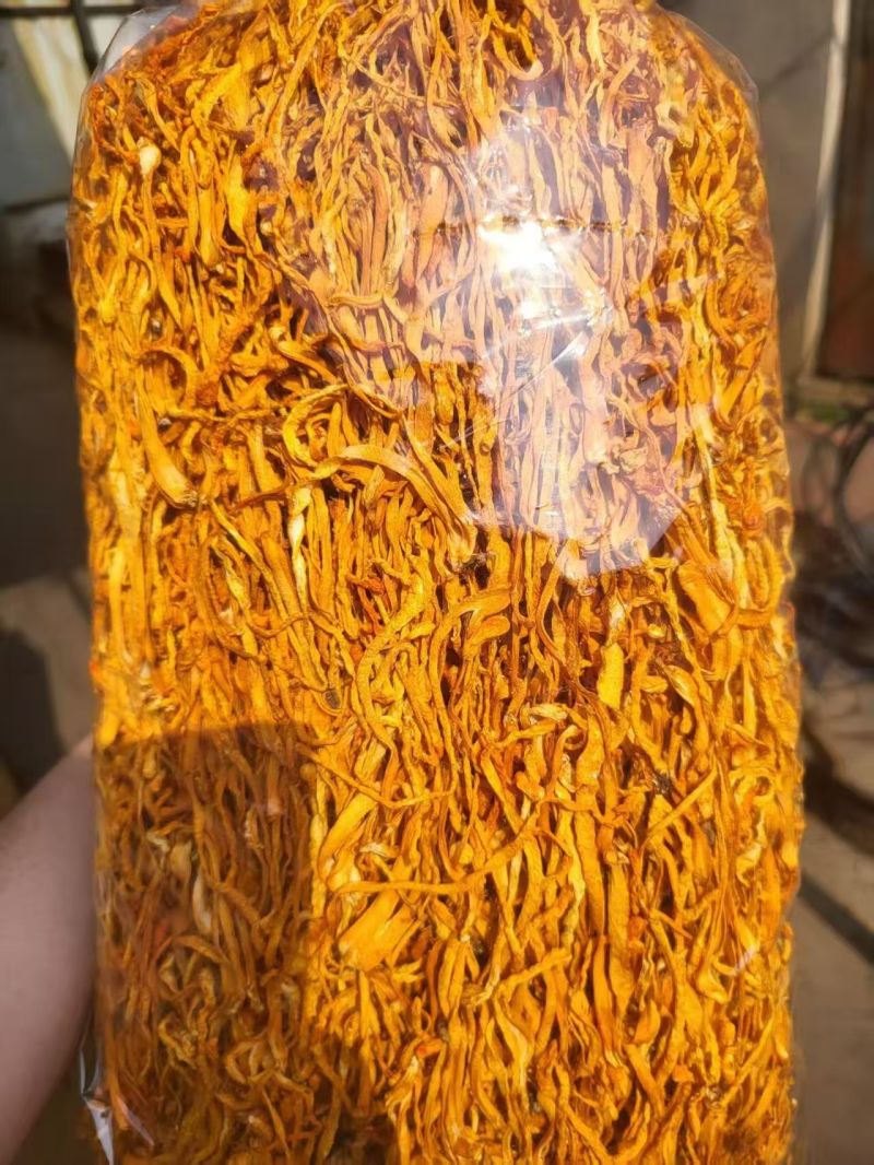 自然晾晒原色虫草花干货大货批发整箱散装大量现货