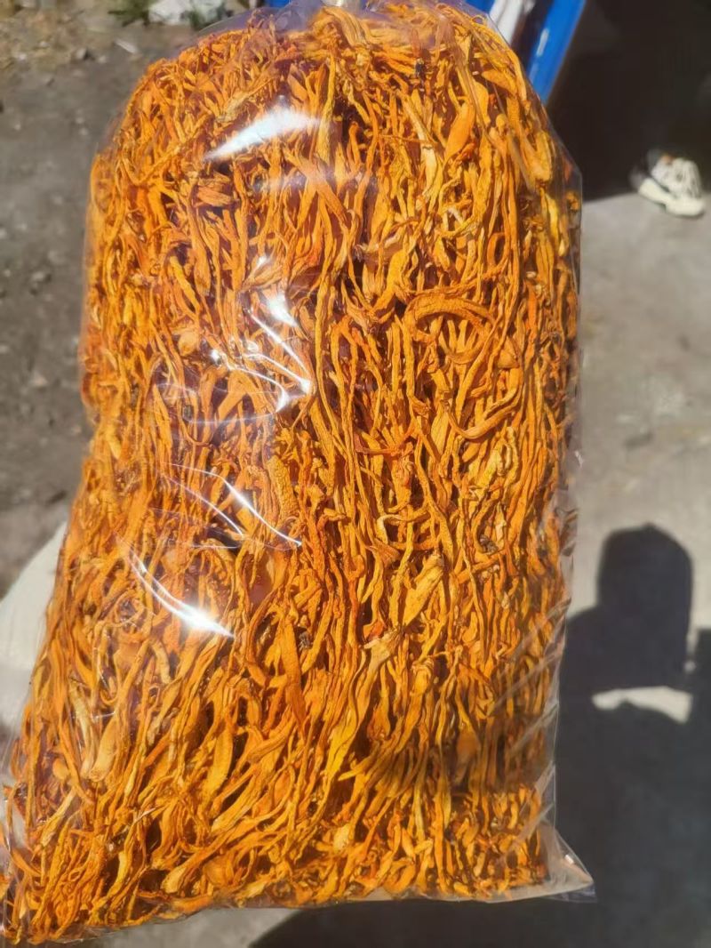 自然晾晒原色虫草花干货大货批发整箱散装大量现货