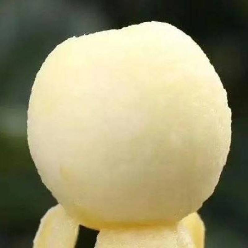 白沙枇杷